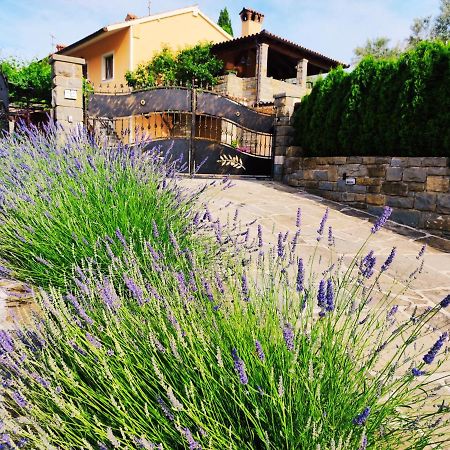 Apartment Wine & Olive Oil Mofardin Koper Exterior photo