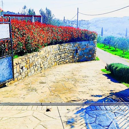 Apartment Wine & Olive Oil Mofardin Koper Exterior photo
